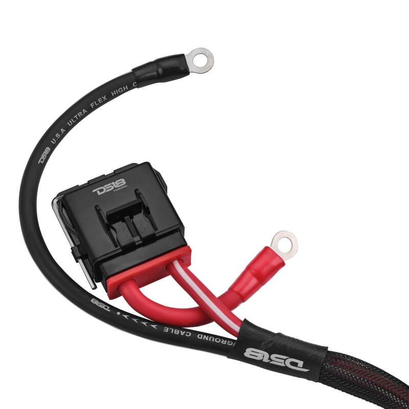 Photo - Primary