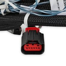 Holley 2018-2022 Ford DBW Harness - 558-469