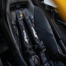 Photo - Close Up