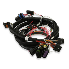 Holley Terminator Main Harness.  - 558-414
