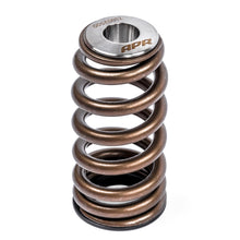 APR Valve Spring Kit (1 Set) - MS100258