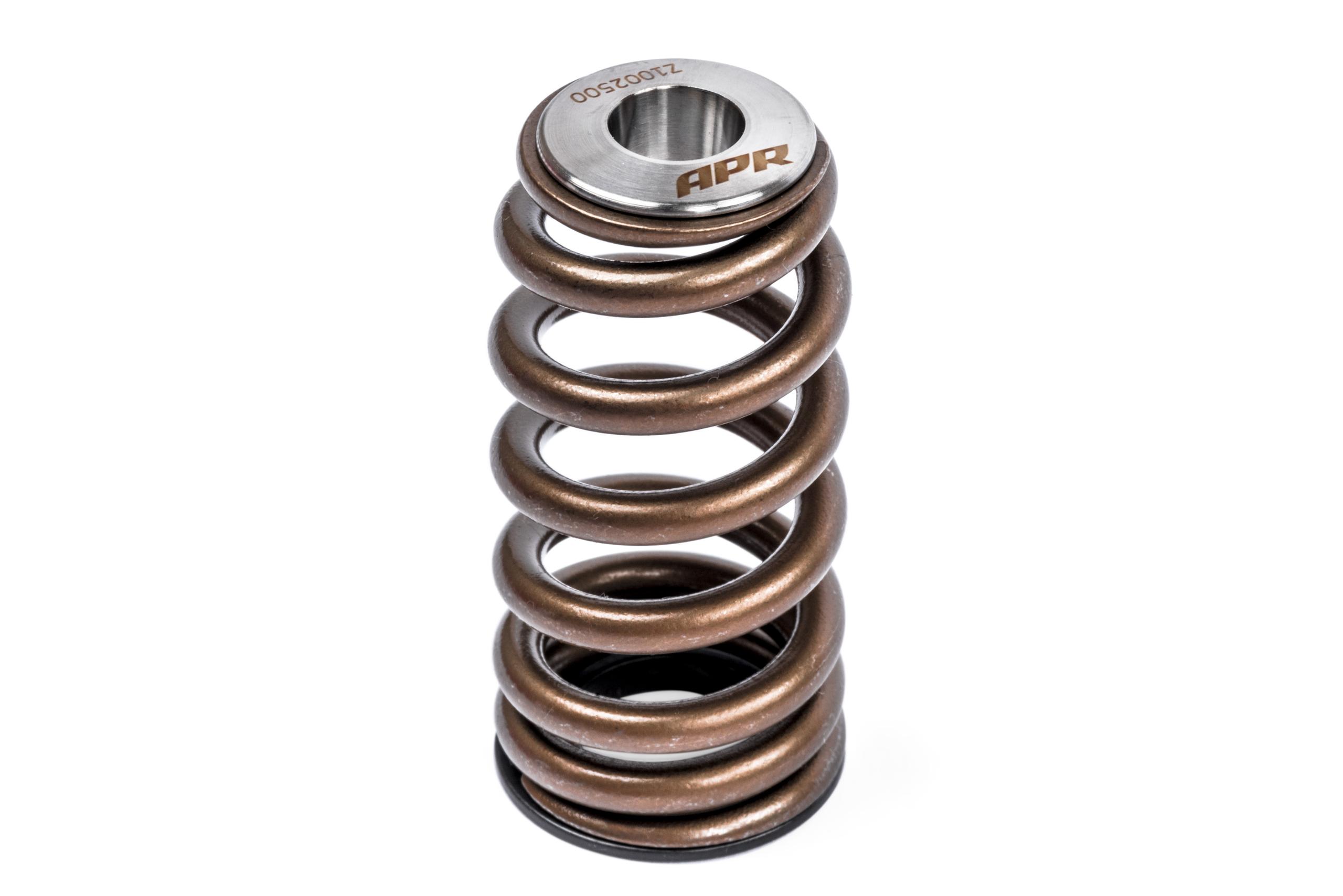APR Valve Spring Kit (1 Set) - MS100258