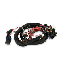 Holley Terminator Main Harness.  - 558-414