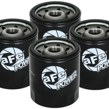 AFE Pro GUARD D2 Oil Filter (4 Pack) - 44-LF037-MB