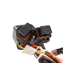 Holley Ford 7.3L Godzilla Main Harness for Stock Coils - 558-140