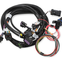 Holley Terminator Stealth 2x4 MAIN HARNESS.  - 558-121
