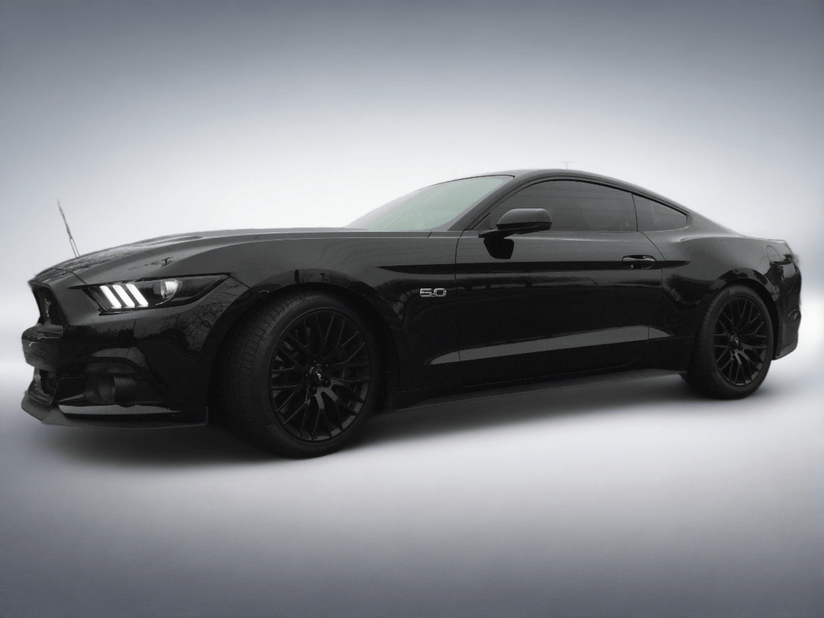Anchor Room Front & Rear Lens Vinyl Tint Kit for EURO/INT - (2015-2017 Mustangs & 2016-2020 GT350) - 15FM_FR+H50%