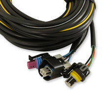Holley Terminated Vehicle Harness for Digital Dash.  - 558-436