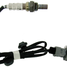 Photo - Primary