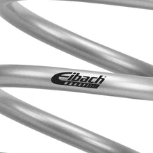 Eibach 85-87 Honda CR125R EMS Rear Spring Kit