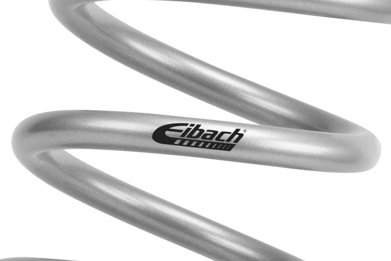 Eibach 85-87 Honda CR125R EMS Rear Spring Kit
