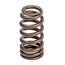 APR Valve Spring Kit (1 Set) - MS100258