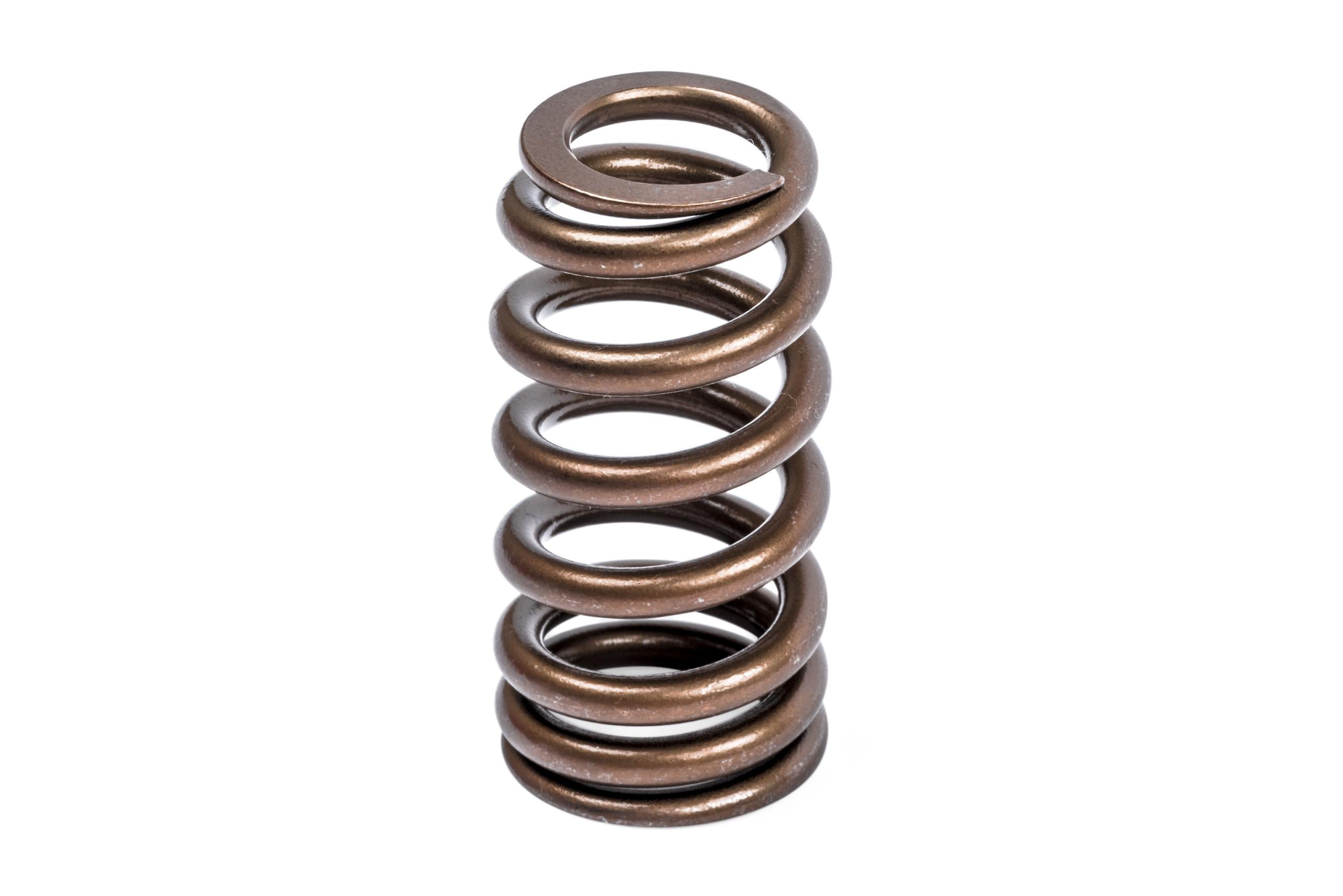 APR Valve Spring Kit (1 Set) - MS100258