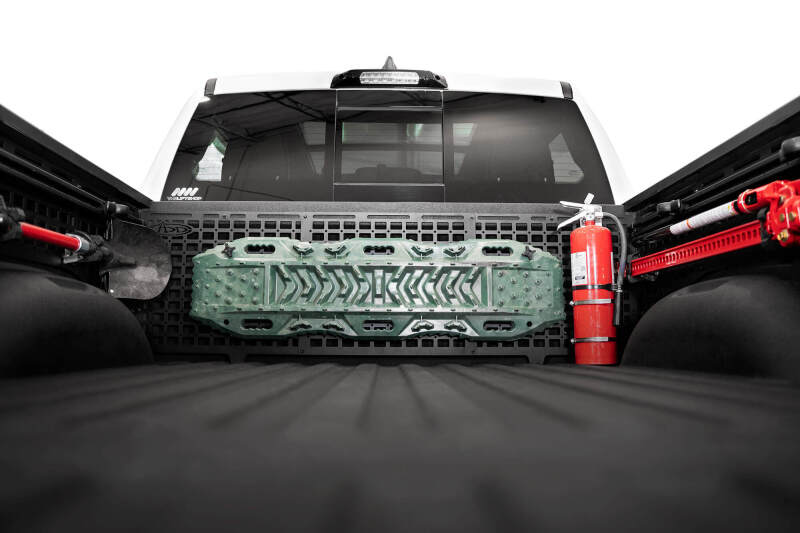 Addictive Desert Designs 2019-2024 RAM 1500 67.2" (non Rambox) , TRX Bed Cab Molle Panels - AC6202101NA