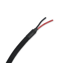 Holley Benchtop Wiring Harness - 558-127