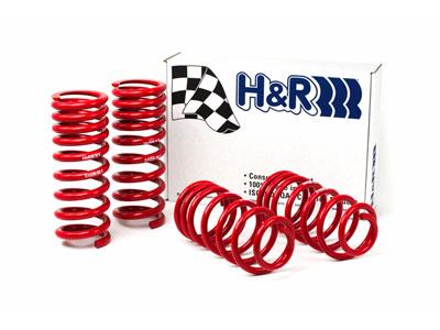 H&R Race Springs - Coupe (79-04 GT, V6, Mach 1; 93-98 Cobra) - 51650-88