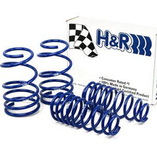 H&R Mustang SuperSport Springs (2005-2009 Mustangs) - 51655-77