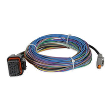 Racepak Harness Iq3S Street Dash - 280-CA-IQ3S