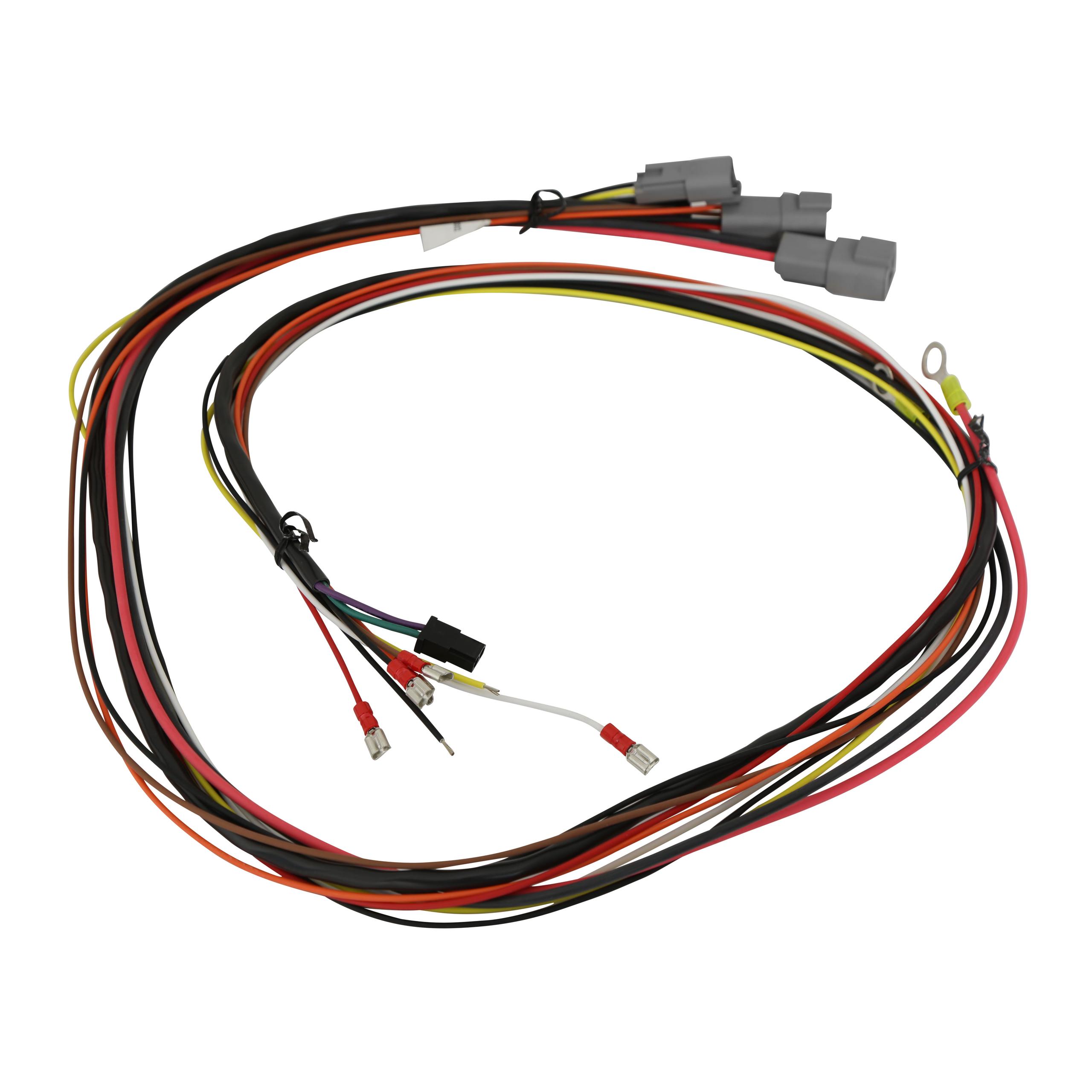 6 HVC, Professional Race with Fast Rev Limiter.  - 6631