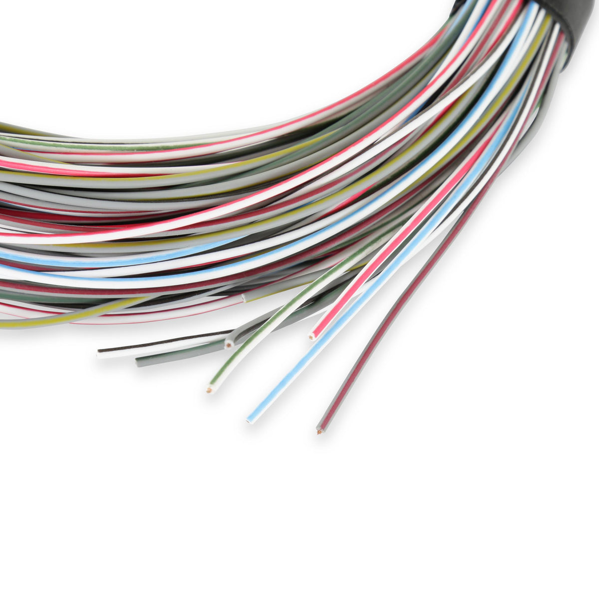 Holley Efi 558-400 J1 A/B I/O Connector Hp & Dom