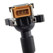 d650-0005_5.jpg