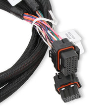 Holley Injector Driver Harness.  - 558-219