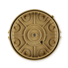 Accel Cap/Rotor () - 8233