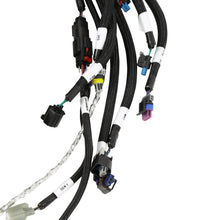 Holley Ford 7.3L Godzilla Main Harness for Stock Coils - 558-140