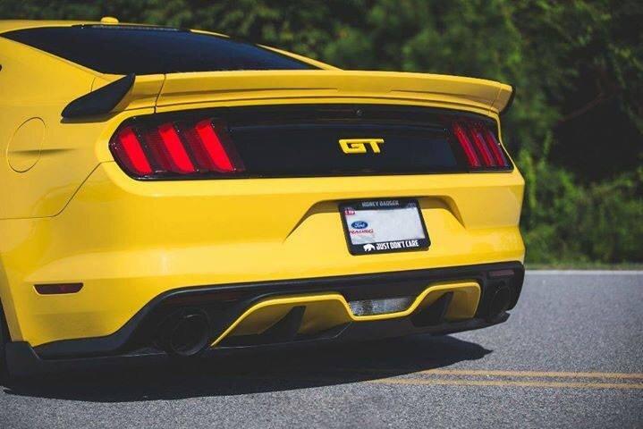 Cervini's 9055 2015-2017 Mustang Stalker Body Kit