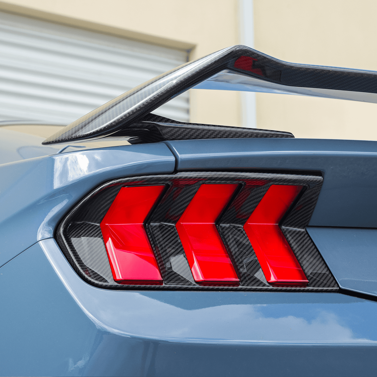 DX Carbon Carbon Fiber Tail Light Bezels (2024-2026 Mustang)