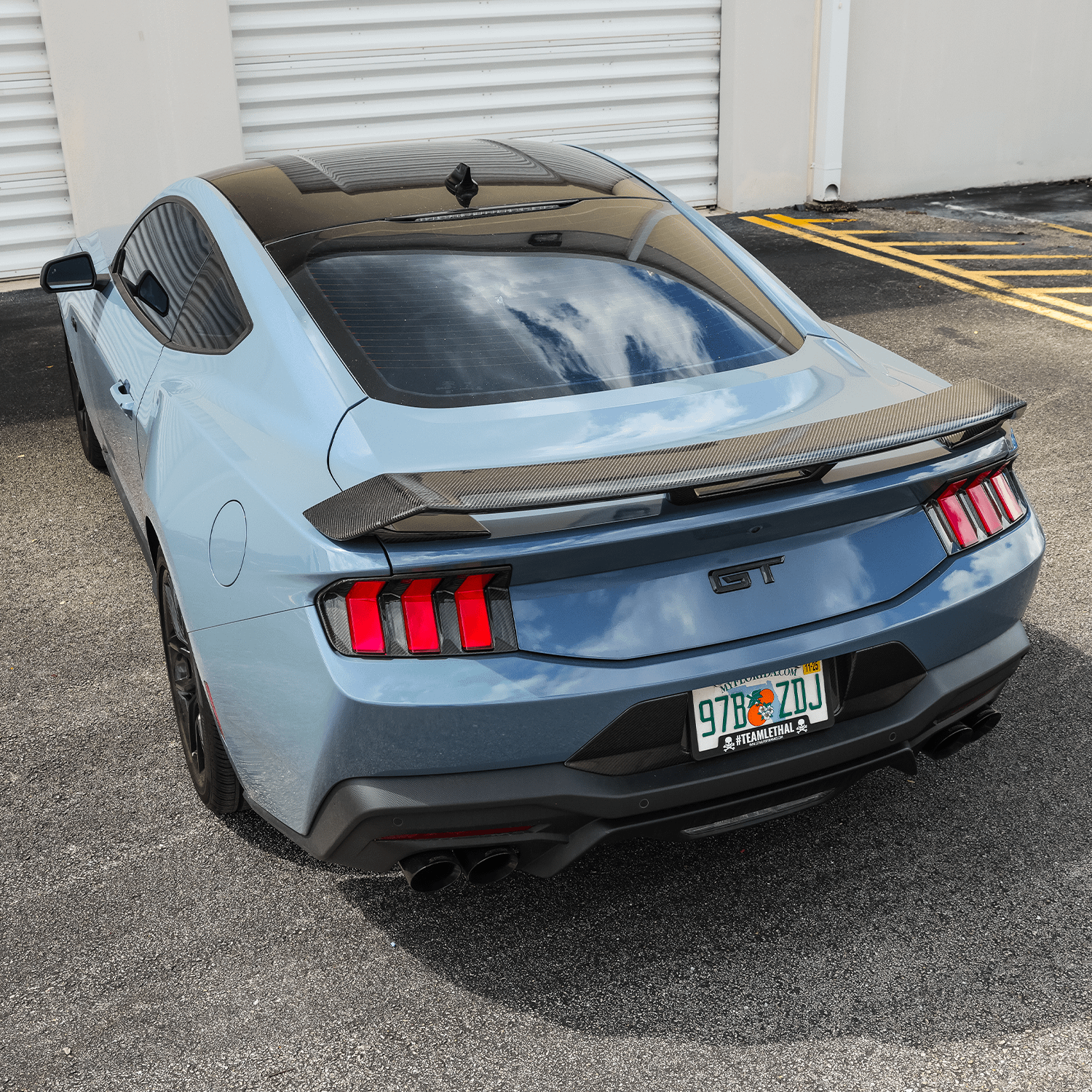 DX Carbon Carbon Fiber Tail Light Bezels (2024-2026 Mustang)