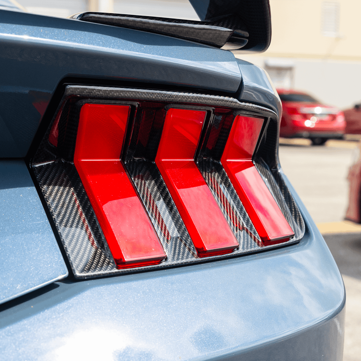 DX Carbon Carbon Fiber Tail Light Bezels (2024-2026 Mustang)