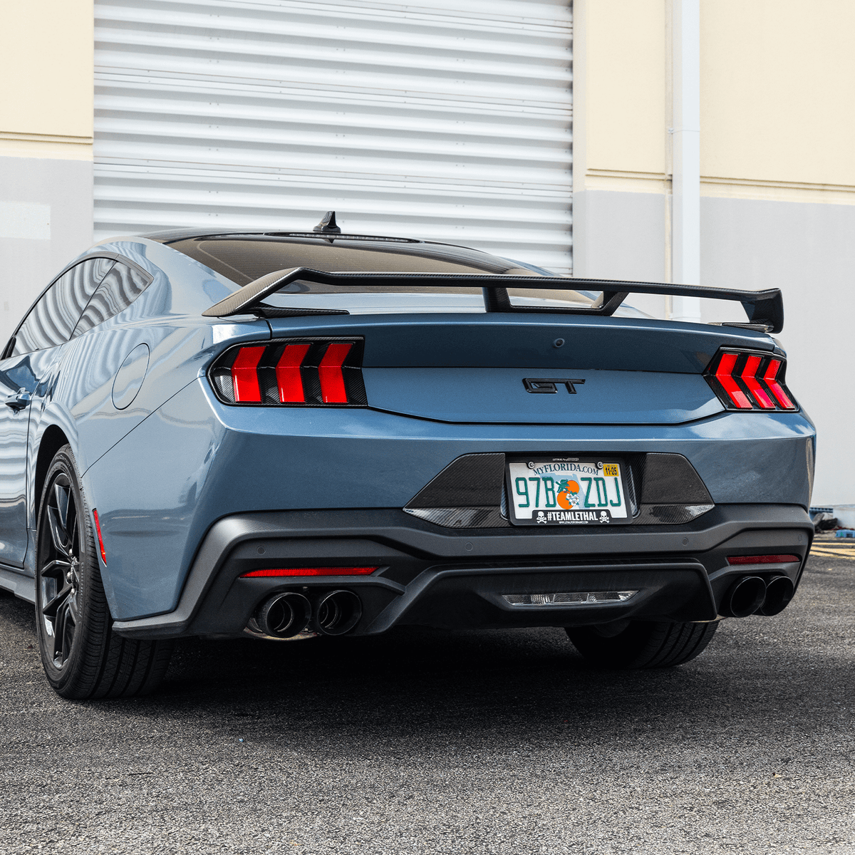 DX Carbon Carbon Fiber Tail Light Bezels (2024-2026 Mustang)