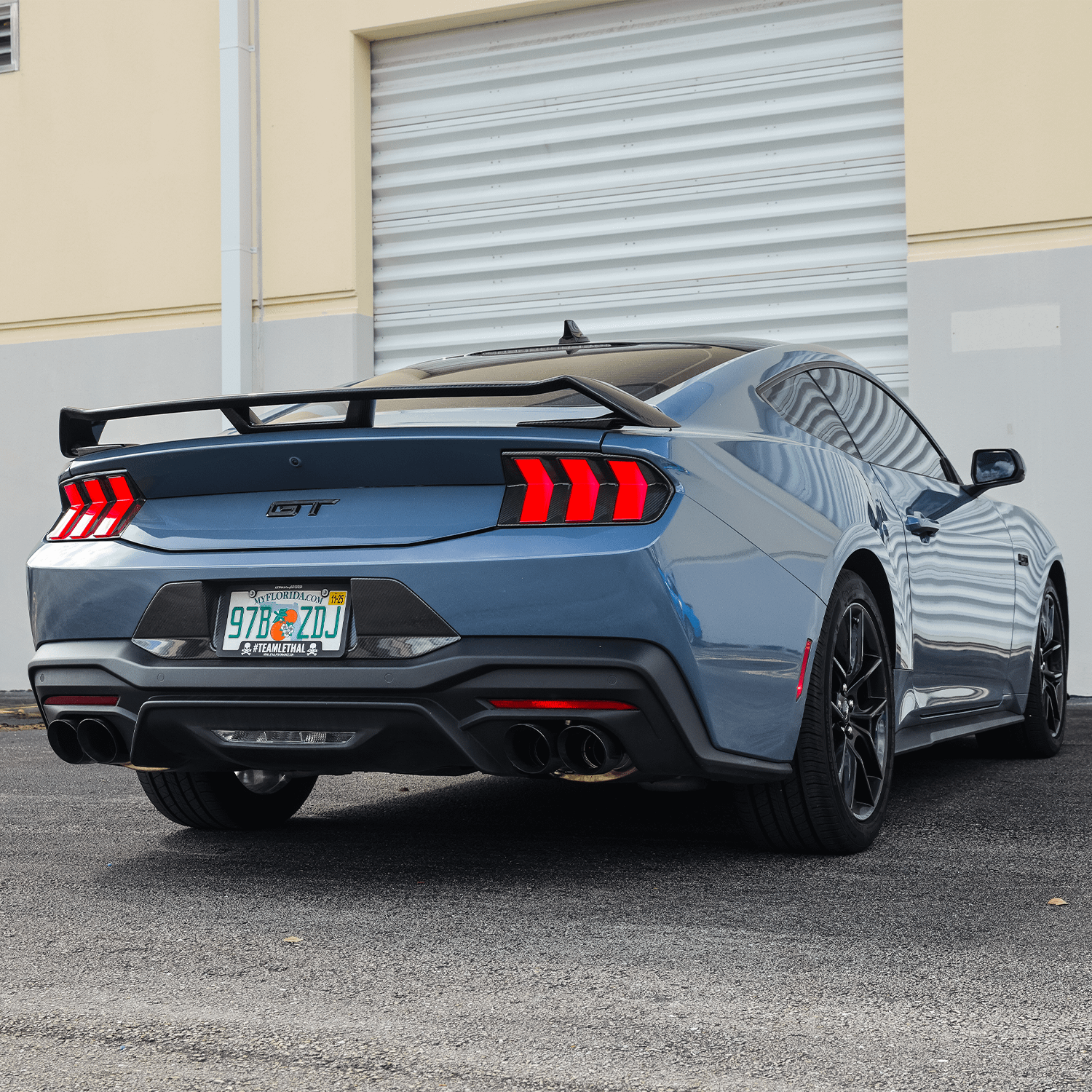 DX Carbon Carbon Fiber Tail Light Bezels (2024-2026 Mustang)