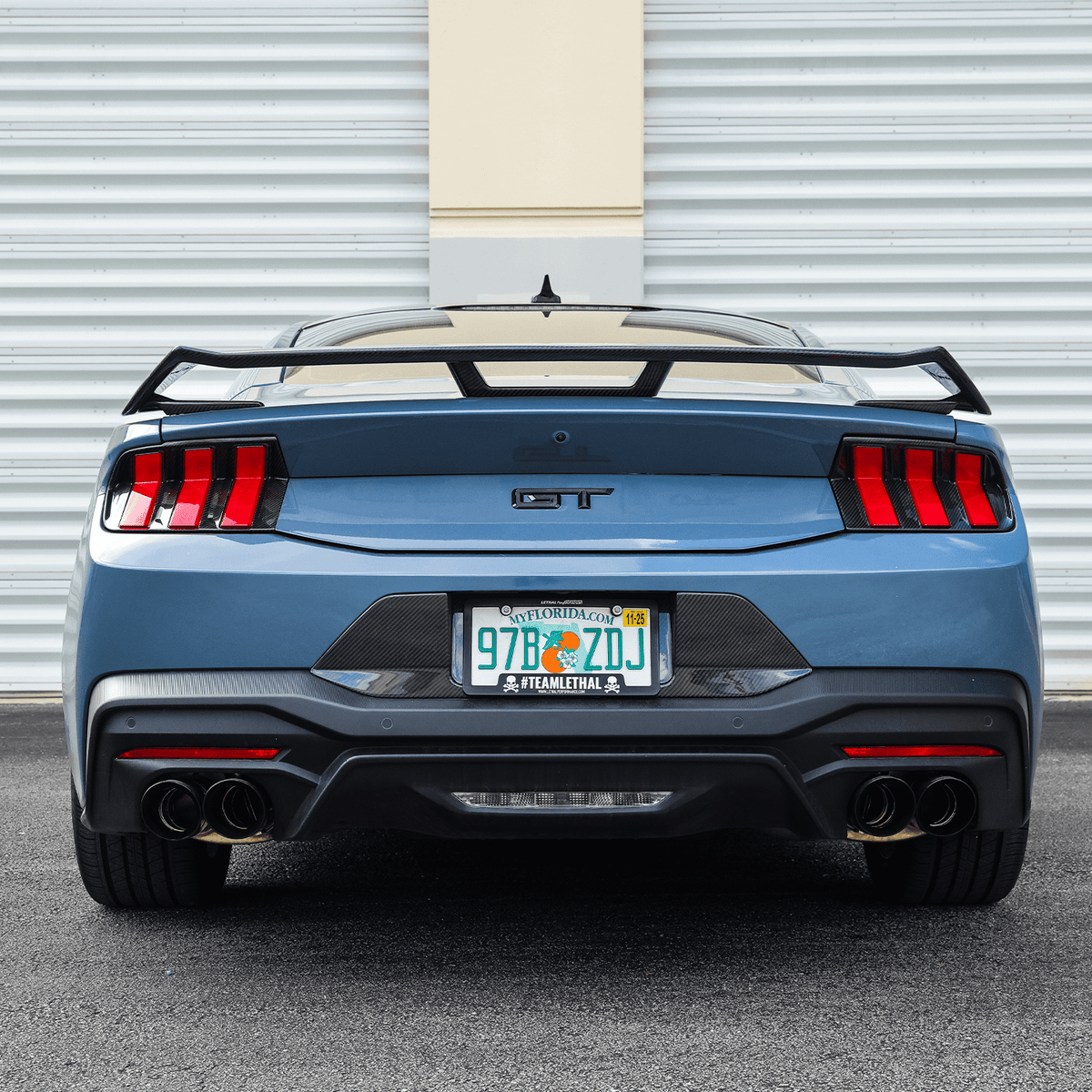 DX Carbon Carbon Fiber Tail Light Bezels (2024-2026 Mustang)