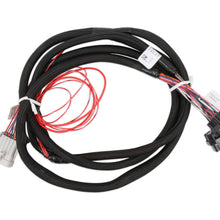 Holley Injector Driver Harness.  - 558-219