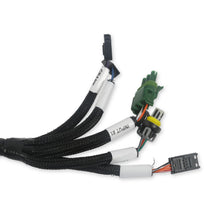 Holley Benchtop Wiring Harness - 558-127