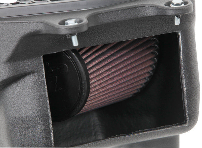 Photo - Close Up