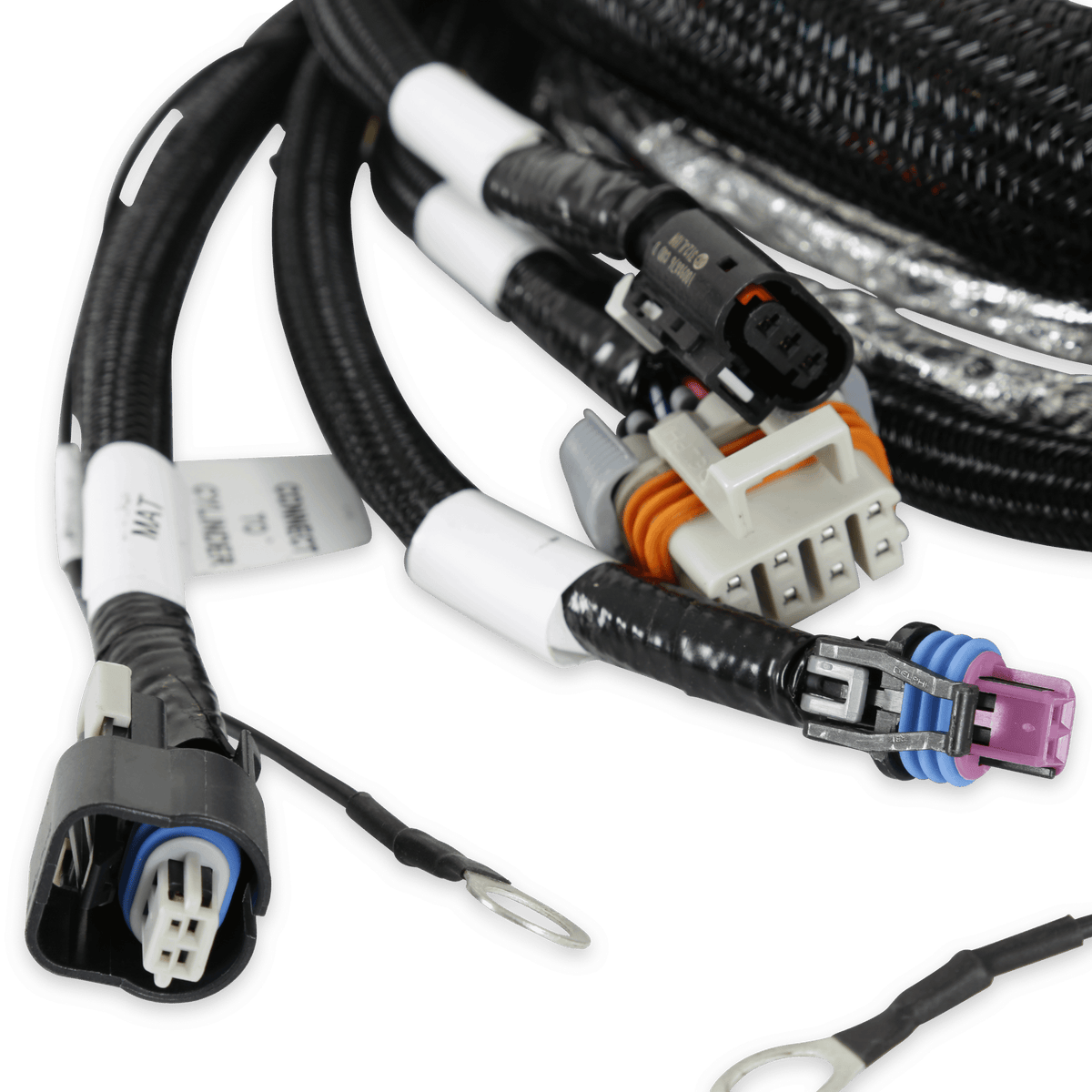 Holley Gen V LT Engine Main Harness - 558-129