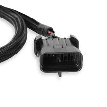 Holley Efi 558-305 Ford Tfi Ign Harness