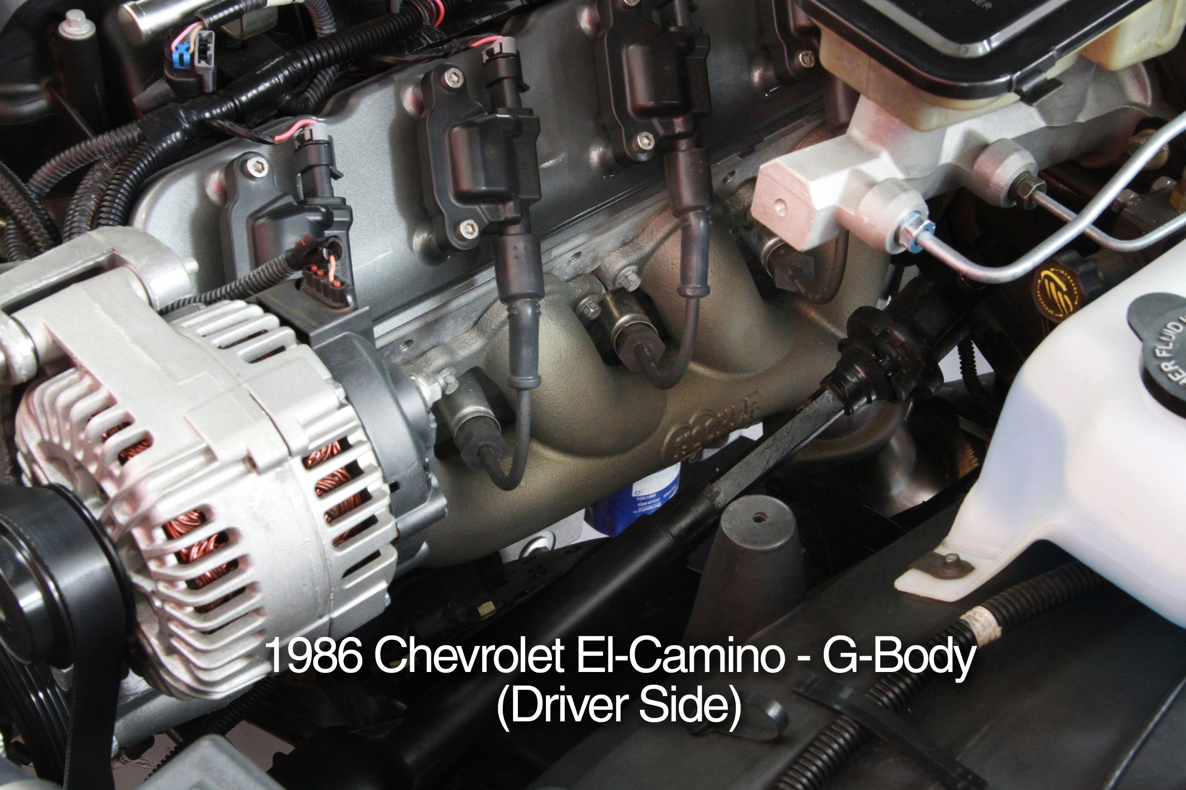 elcaminogbody.jpg