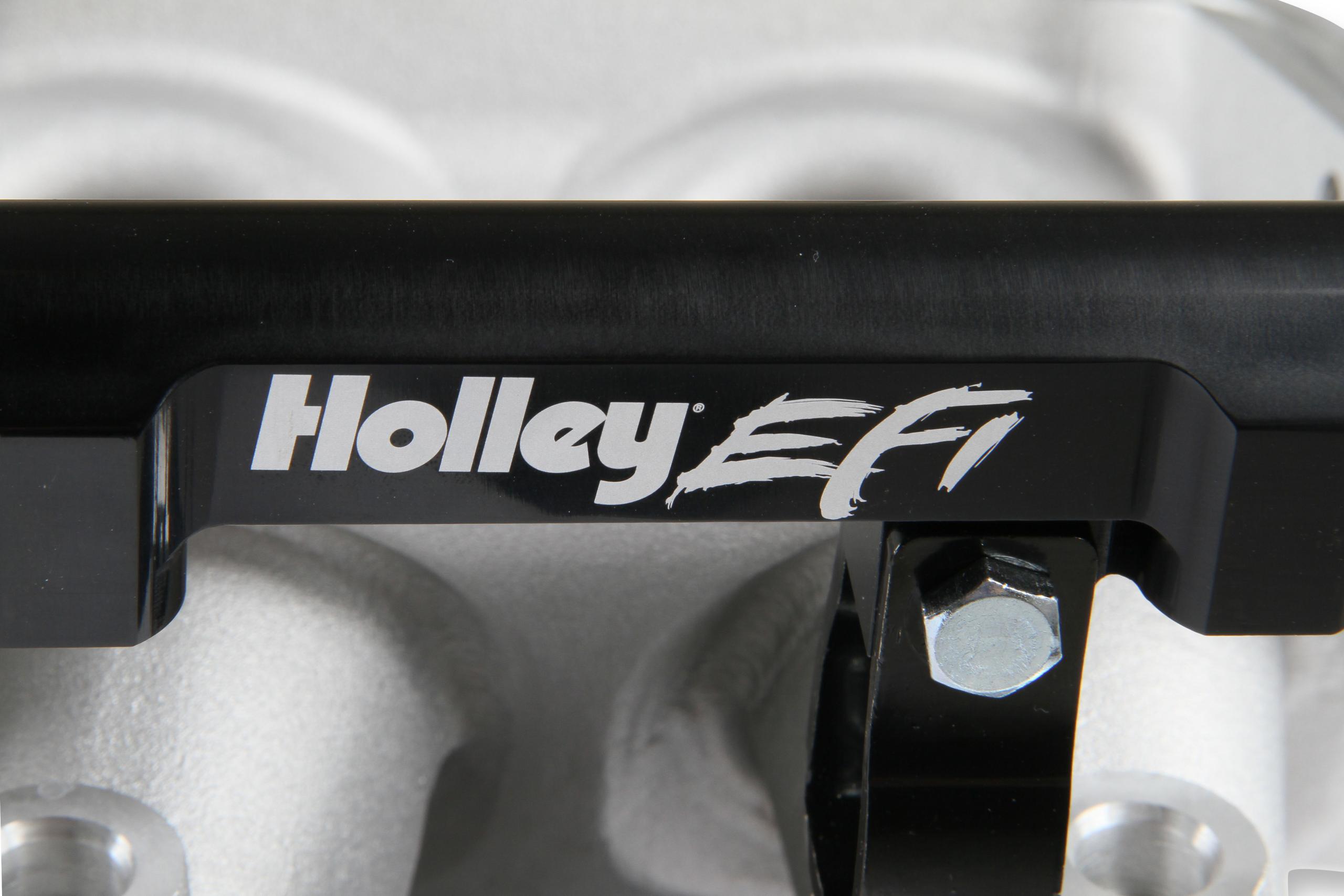 Holley Holley Modular Lo-Ram EFI Manifold LS1/2/6.  - 300-620