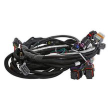 Holley LT4 Engine Main Harness - 558-130