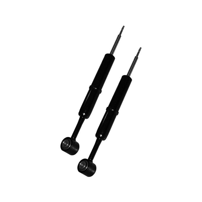 Skyjacker 2-3In. Struts 04-08 F150 2Wd (2004-2008 Ford F-150) - F432ST
