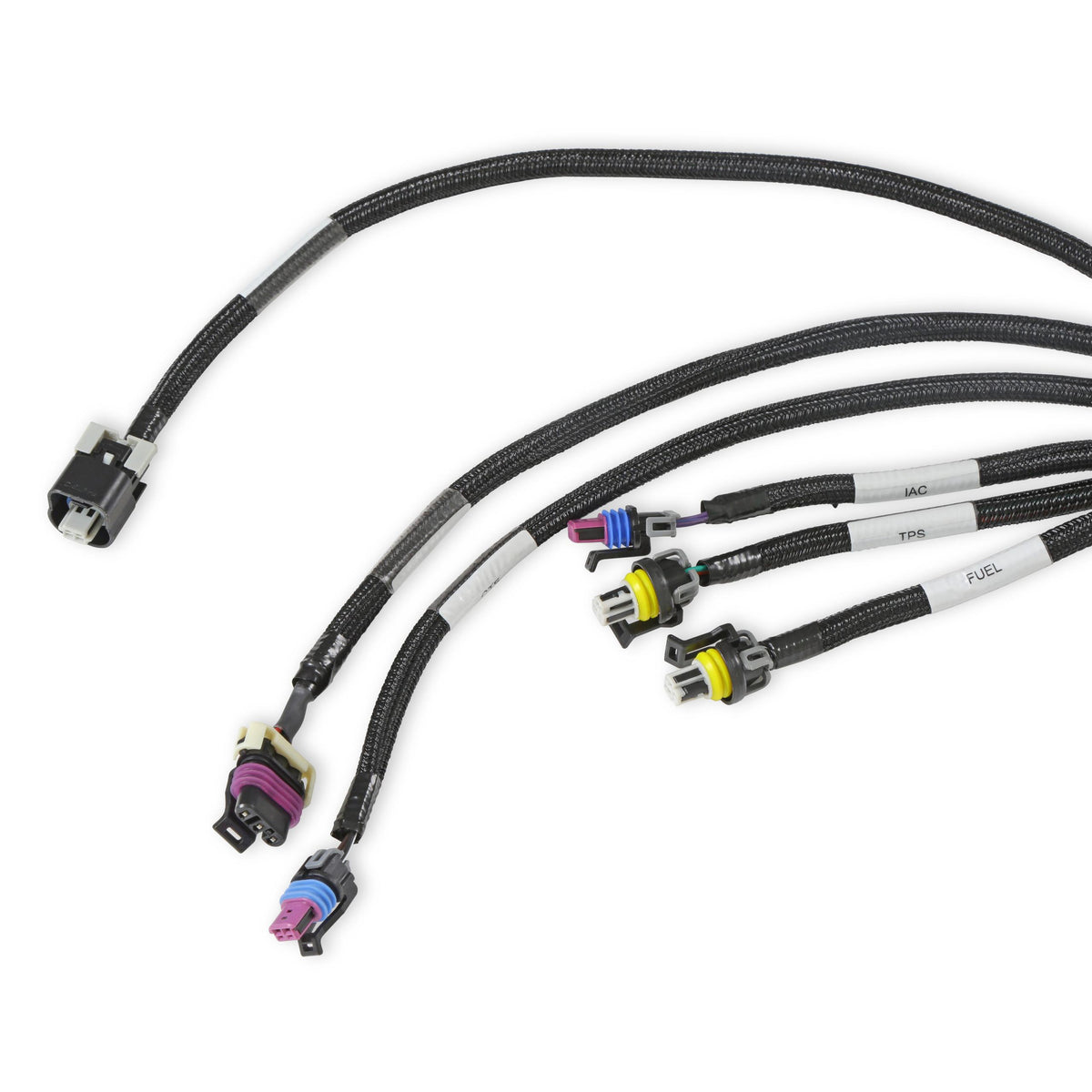 Holley Efi Ls Main Harness - 558-134