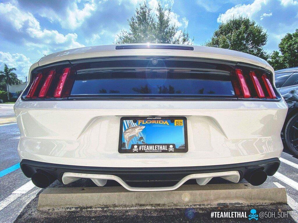 License Plate Frame