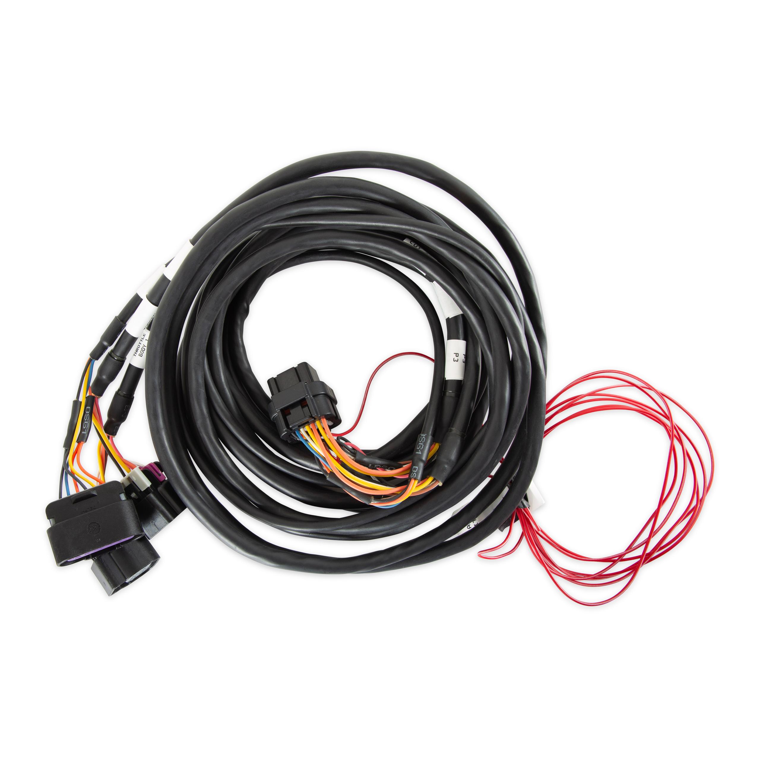 Holley Efi 558-411 Gm Dual Drive By Wire Harness