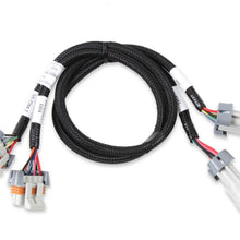 Holley LS Ignition Coil Harness - 558-326