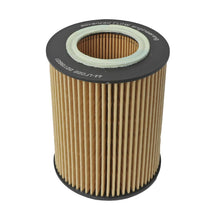 AFE Pro GUARD D2 Oil Filter - 44-LF022