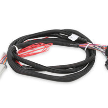 Holley Injector Driver Harness.  - 558-219
